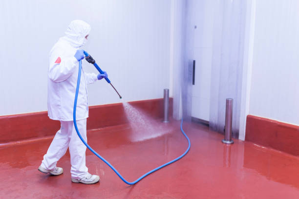 Reliable Kenmore, NY Pressure Washing Services Solutions